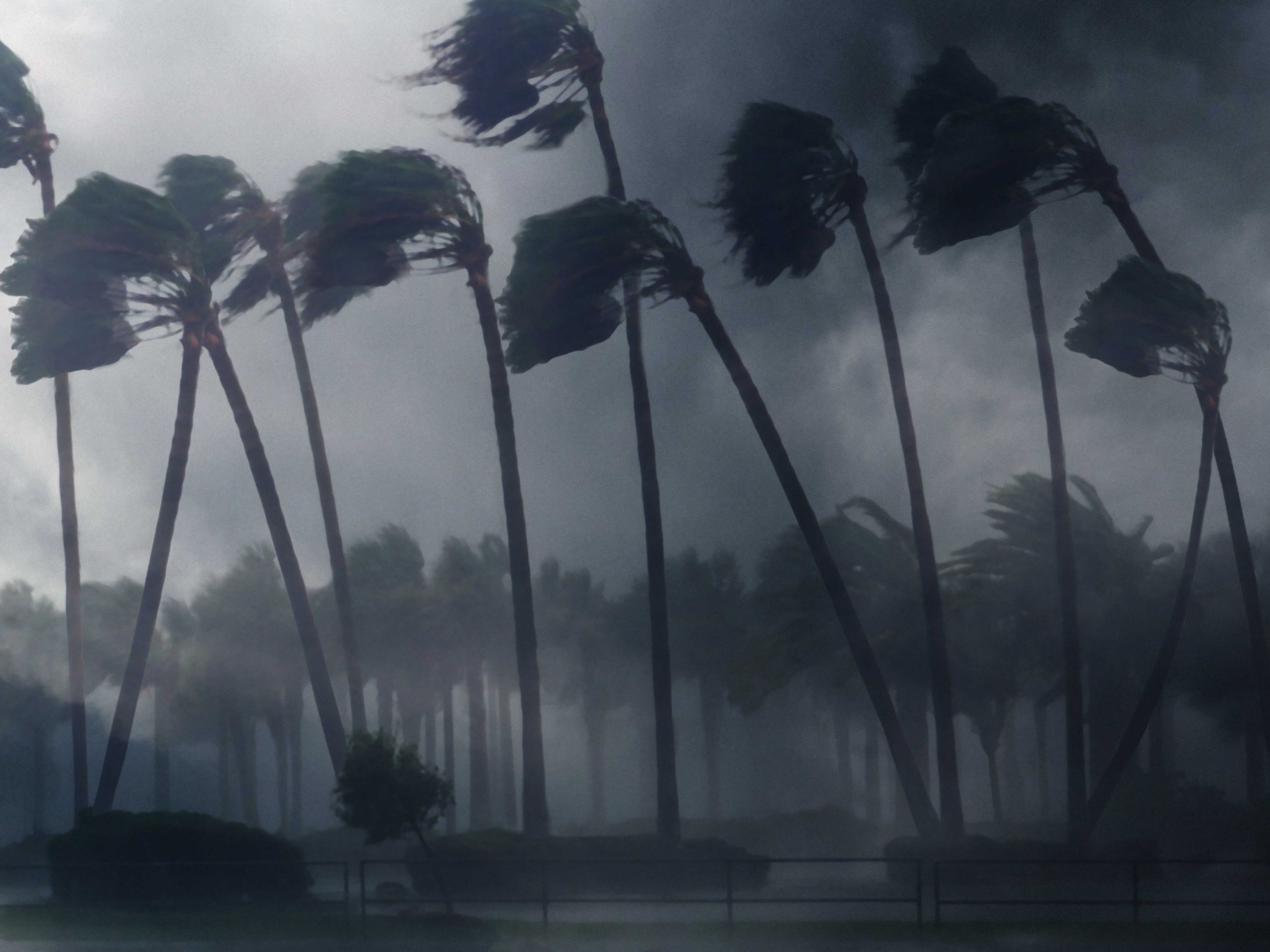 Hurricane Prep 2022